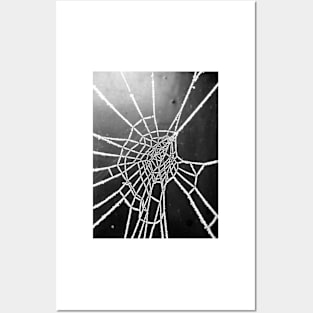 Spider Lace 4 Posters and Art